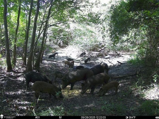 0 Us-59, Diboll, TX 75939