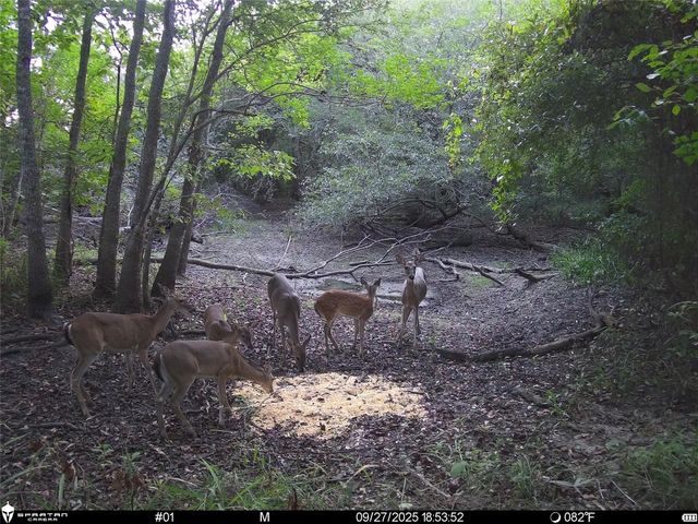 0 Us-59, Diboll, TX 75939