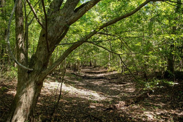 0 Us-59, Diboll, TX 75939