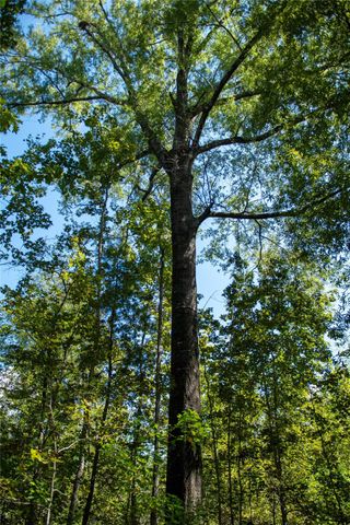 0 Us-59, Diboll, TX 75939