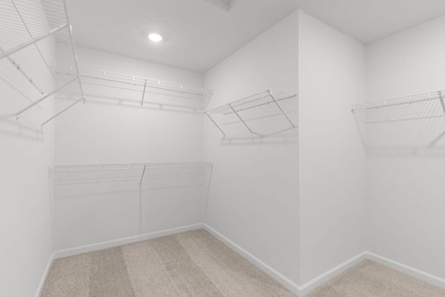 11528 19th Street NE, Saint Michael, MN 55376