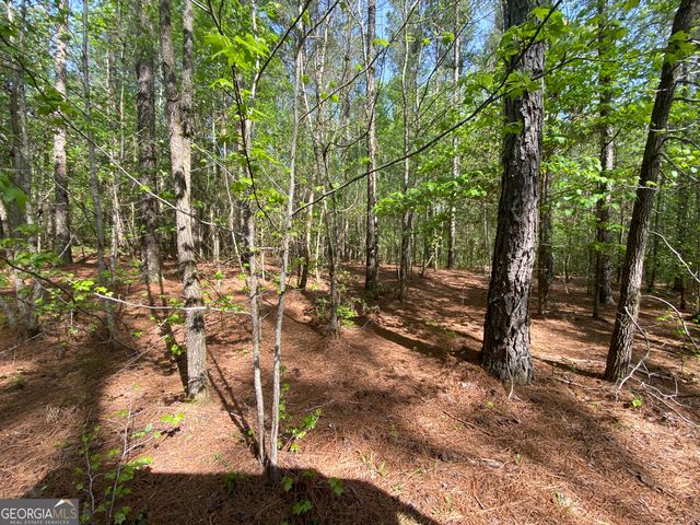 3 Curry Falls Trail, Athens, GA 30607