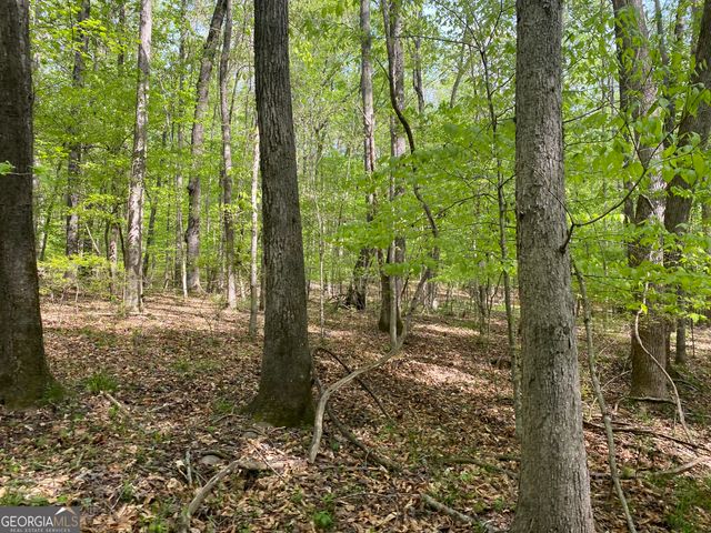 3 Curry Falls Trail, Athens, GA 30607