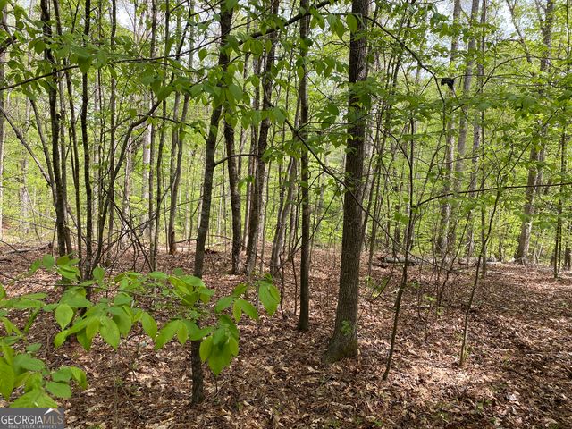 3 Curry Falls Trail, Athens, GA 30607