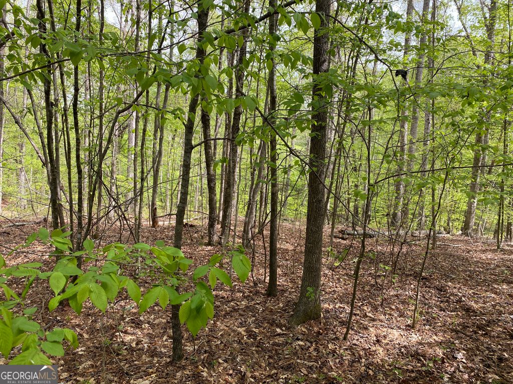 3 Curry Falls Trail, Athens, GA 30607 — photo 4