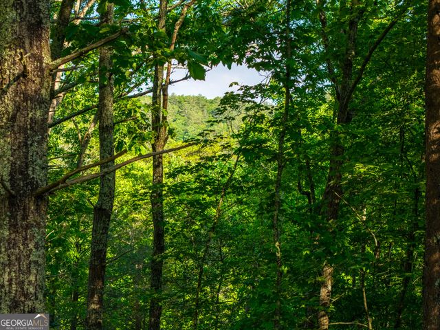 5860 Old Bucktown Road, Ellijay, GA 30536