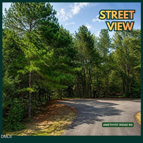 1804 Amethyst Rdg Drive, Raleigh, NC 27604