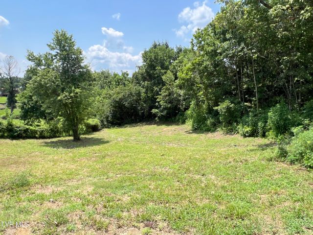 1408 Jayne Road, Kingsport, TN 37660