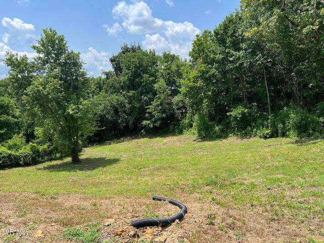 1408 Jayne Road, Kingsport, TN 37660