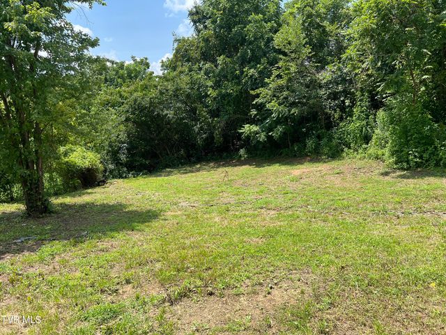 1408 Jayne Road, Kingsport, TN 37660