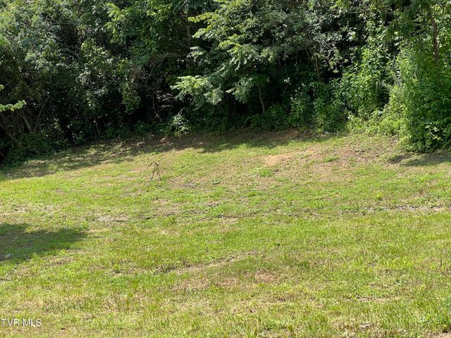 1408 Jayne Road, Kingsport, TN 37660
