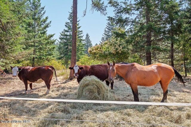 5254 E Mabel Ln, Harrison, ID 83833