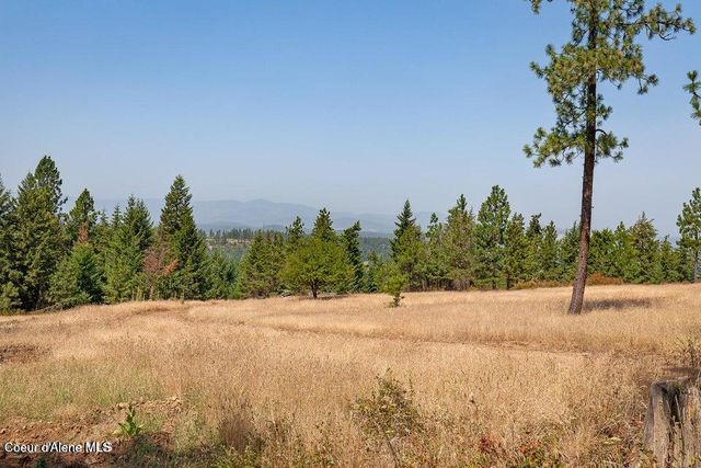 5254 E Mabel Ln, Harrison, ID 83833