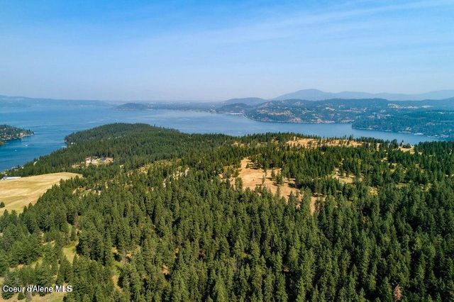 5254 E Mabel Ln, Harrison, ID 83833