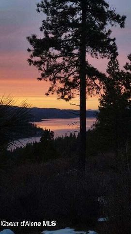 5254 E Mabel Ln, Harrison, ID 83833