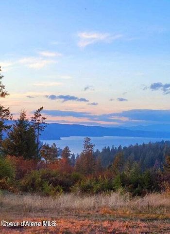 5254 E Mabel Ln, Harrison, ID 83833