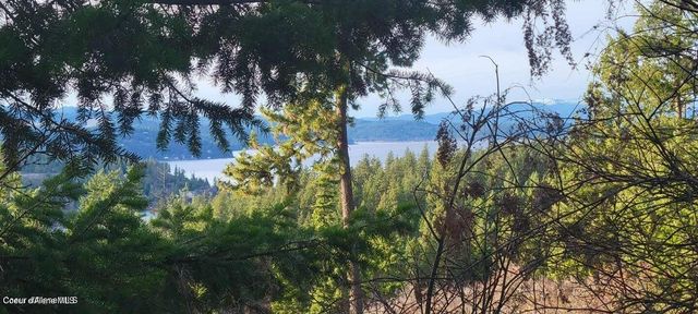 5254 E Mabel Ln, Harrison, ID 83833