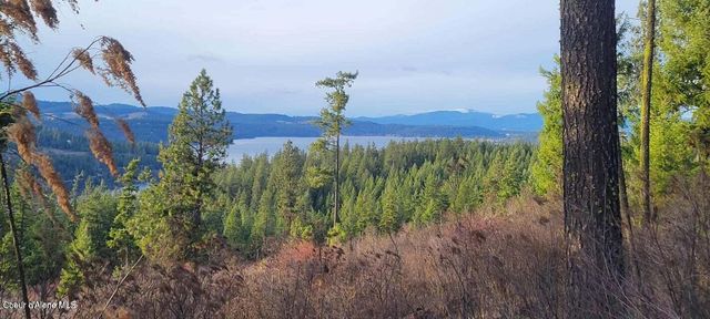 5254 E Mabel Ln, Harrison, ID 83833
