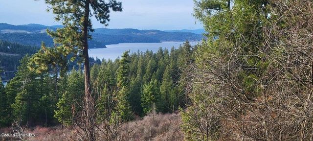 5254 E Mabel Ln, Harrison, ID 83833
