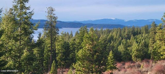 5254 E Mabel Ln, Harrison, ID 83833