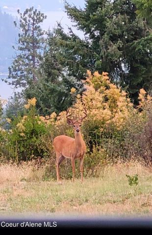 5254 E Mabel Ln, Harrison, ID 83833