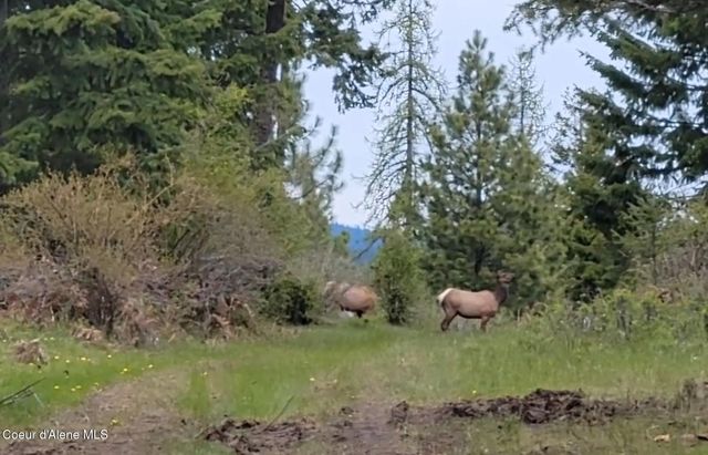 5254 E Mabel Ln, Harrison, ID 83833