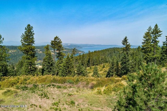 5254 E Mabel Ln, Harrison, ID 83833