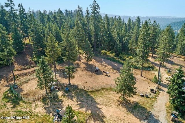 5254 E Mabel Ln, Harrison, ID 83833