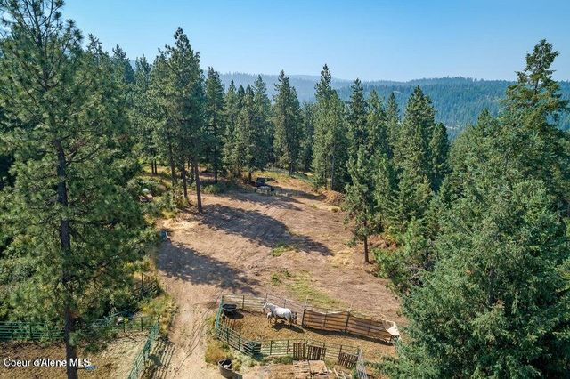 5254 E Mabel Ln, Harrison, ID 83833