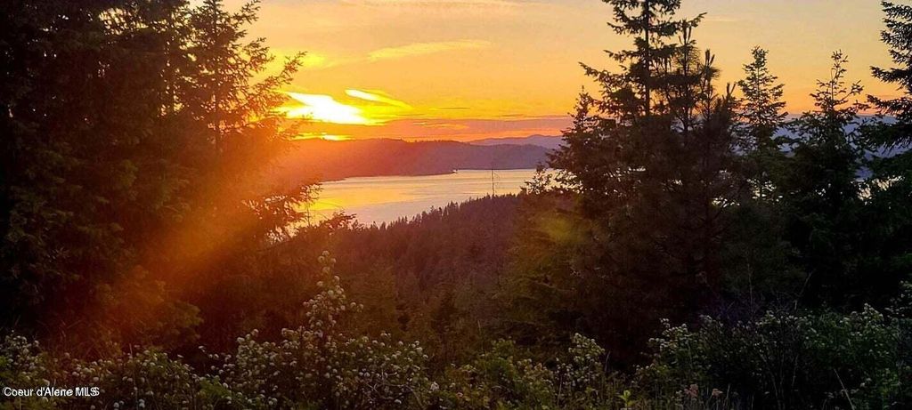 5254 E Mabel Ln, Harrison, ID 83833