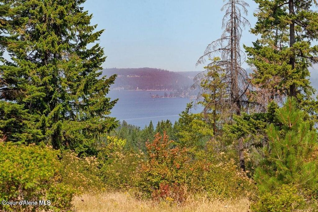 5254 E Mabel Ln, Harrison, ID 83833 photo 27