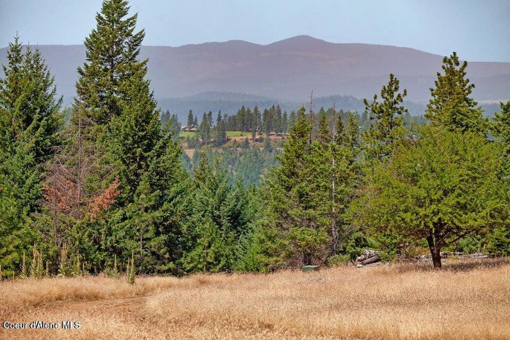 5254 E Mabel Ln, Harrison, ID 83833 photo 28