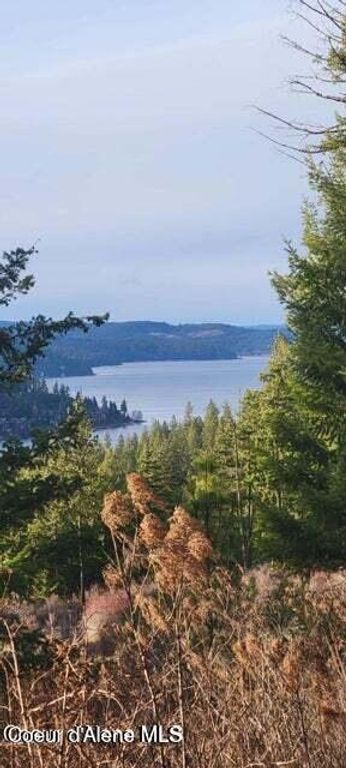 5254 E Mabel Ln, Harrison, ID 83833 photo 36