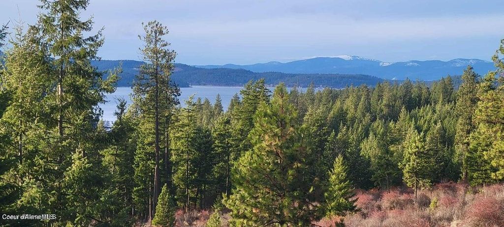 5254 E Mabel Ln, Harrison, ID 83833 photo 39