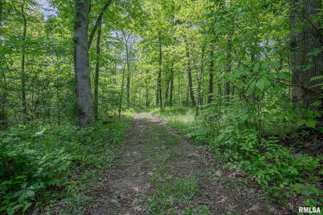 15751 E Tolle Road, Mt Vernon, IL 62864