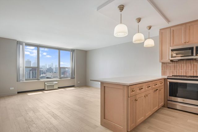 1550 N Lake Shore Drive 29D, Chicago, IL 60610