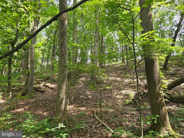 158 C PLEASANT VIEW RD, Halifax, PA 17032