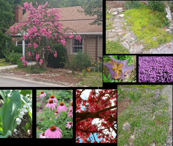 119 Elkhorn Drive, Frankfort, KY 40601