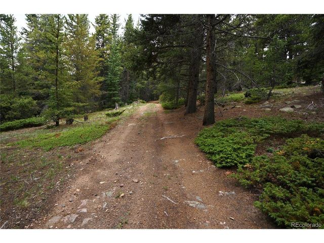 0 Lamartine Rd, Idaho Springs, CO 80452