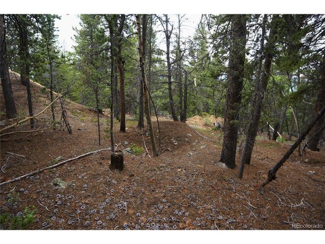 0 Lamartine Rd, Idaho Springs, CO 80452