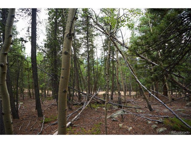 0 Lamartine Rd, Idaho Springs, CO 80452