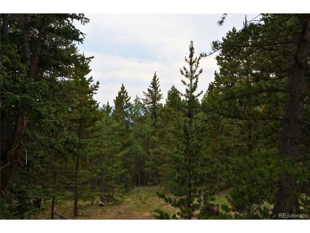 0 Lamartine Rd, Idaho Springs, CO 80452