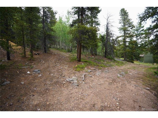 0 Lamartine Rd, Idaho Springs, CO 80452