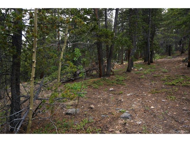 0 Lamartine Rd, Idaho Springs, CO 80452