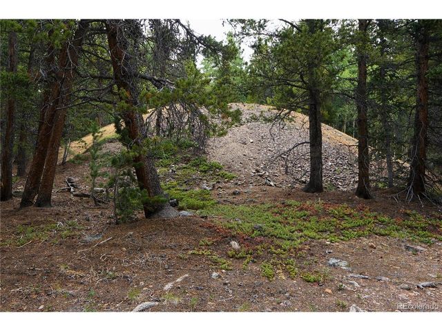0 Lamartine Rd, Idaho Springs, CO 80452
