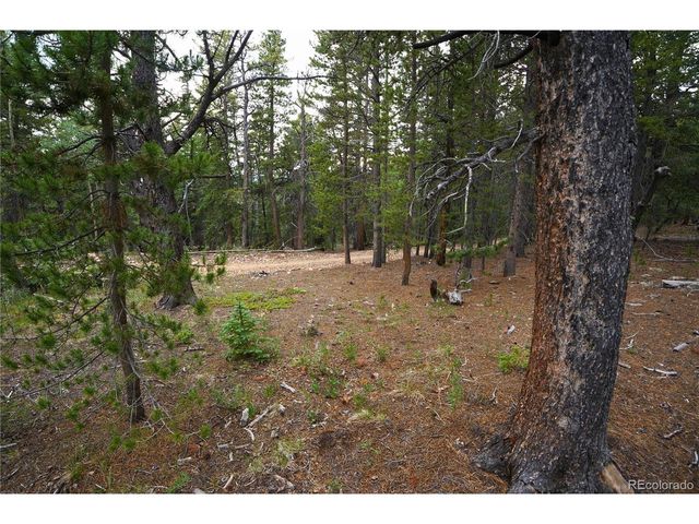 0 Lamartine Rd, Idaho Springs, CO 80452
