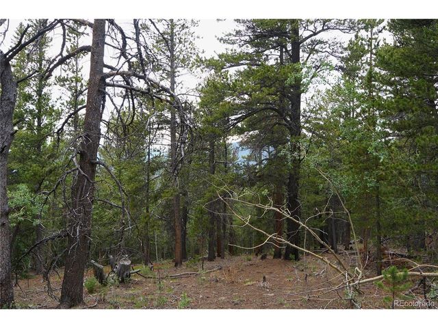 0 Lamartine Rd, Idaho Springs, CO 80452