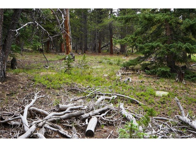0 Lamartine Rd, Idaho Springs, CO 80452