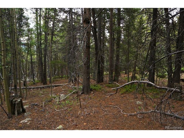 0 Lamartine Rd, Idaho Springs, CO 80452