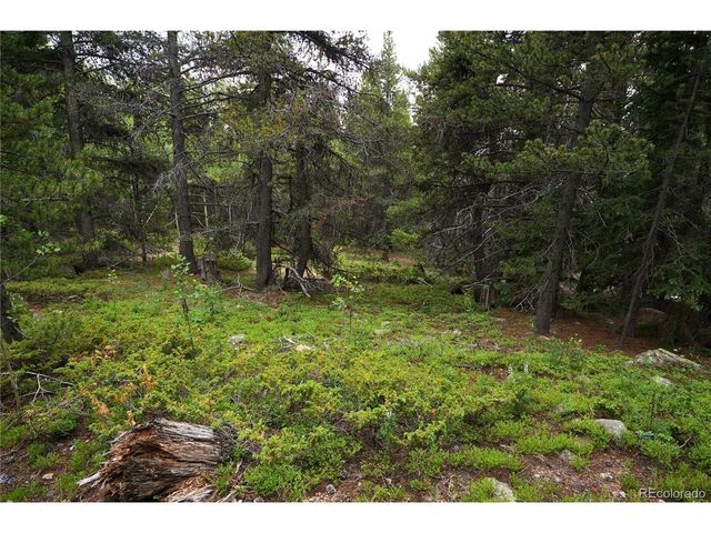 0 Lamartine Rd, Idaho Springs, CO 80452